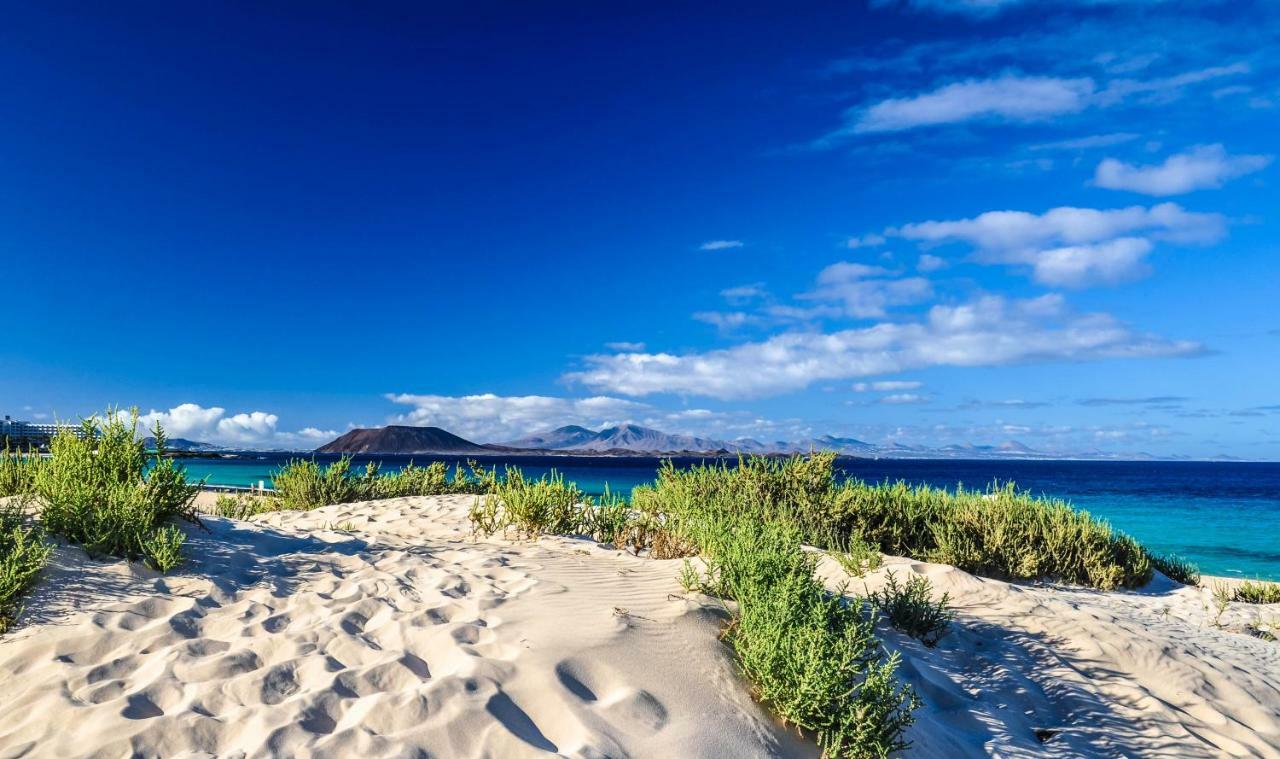 Popcorn Beach House コラレホ エクステリア 写真